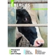 Le Journal des Énergies Renouvelables n°277