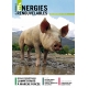 Le Journal des Énergies Renouvelables n°254