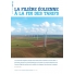 Le Journal des Énergies Renouvelables n°229